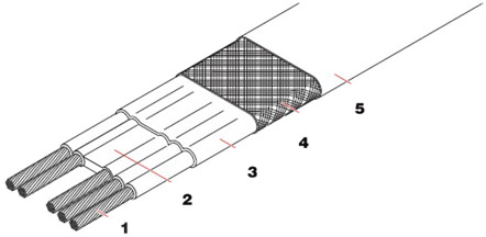 VLBTV2-CT�M�������{�ذ����|�Y���D