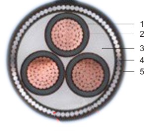 ��|�Y��ʾ��D